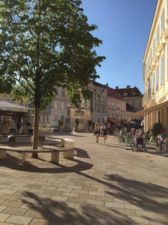Kleine Ferienwohnung mit Garten Baden Exterior foto