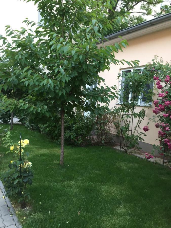 Kleine Ferienwohnung mit Garten Baden Exterior foto